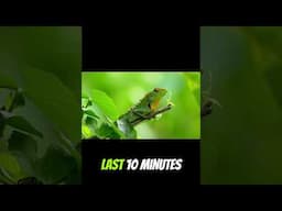 "1 Morning Hack to Boost Your Health & Wealth 💪💰 | HealthWealthHacks"