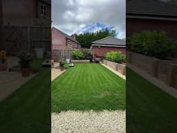 Lawn care is easy when you do nothing yourself! #lawncare #lawn