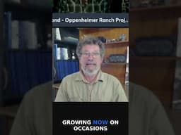 Coral Bleaching: Nature's Adaptive Response Explained
https://tinyurl.com/2fynm7tw