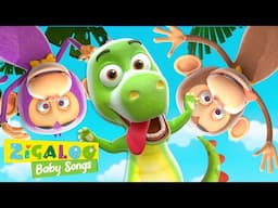 Move like a Monkey with Zigaloo and Friends | Zigaloo Baby Songs 🌈💕