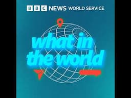 Degrowth explained: A radical idea for a sustainable future - BBC World Service