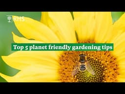 Top 5 planet friendly gardening tips to celebrate Earth Day | The RHS