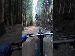 I got to ride a brand new flow trail on opening day!