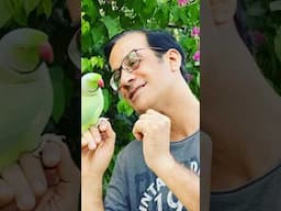 Funny Talking Parrot Mimics Humans | Smart & Hilarious Bird Moments!
