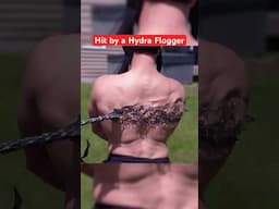 Hydra Flogger Spikes Got STUCK in My Back 😖 #shorts #comedy #entertainment
