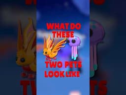 Guess the NEON MOON LEGENDARY Pets