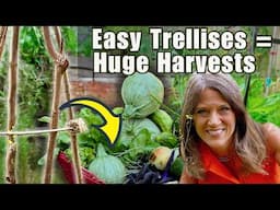 20 Easy Trellises for HUGE Harvests