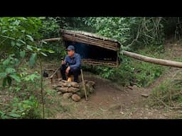 Building a hanging shelter in a tree to survival and find food