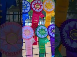 Upperville Colt and Horse Show 2025