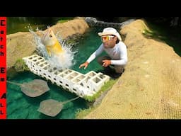 My RARE PET AROWANA Fish ESCAPED the Stingray River!