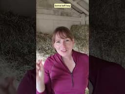 Pros and Cons of Teff Hay for Horses