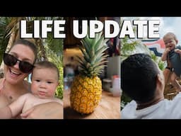 I'm Back - Quick Life Update