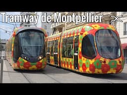 Tramway de Montpellier | Alstom Citadis | Occitanie | France