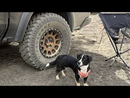 Mojave Trail Recap, NEW TIRES/DAMAGE And Best Truck Wash Kit!!!