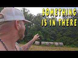 CRAZY STUFF ON THE MOUNTAIN tiny house, homesteading, off-grid, cabin build, DIY, HOW TO, saw mill