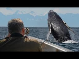 Humpback Whales Breach Again & Again | Alaska 🌎 🇺🇸 | Wild Travel | Robert E Fuller