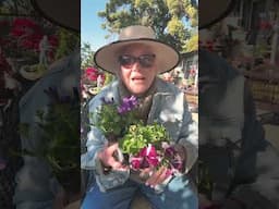Plant a Garden…Enjoy the Anticipation!