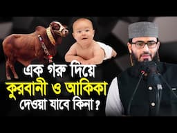 এক গরু দিয়ে  কুরবানী ও আকিকা দেওয়া যাবে কিনা | Abrarul Haque Asif