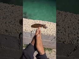 OMG! Watch My Girlfriend Catch Her First Squid with just a Hand Line!🦑🎣