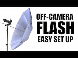 Off-Camera Flash for Beginners | Budget-Friendly One-Light Portrait Setup