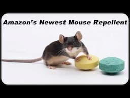 Amazon's Newest Mouse Repellent - Peppermint - Cedar wood - Coves - Does It Work?