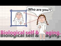 Is aging a loss of biological self?