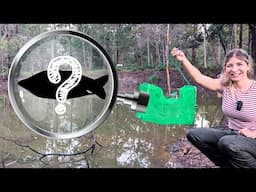 Setting FISH TRAPS in Abandoned Dams on My Property (What Did We Find?!)