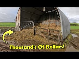 Cows Broke In & Ruined All My Hay! Very Costly $$$