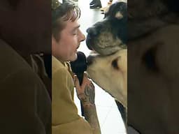 yes this is dog