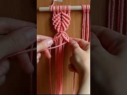 Easy Macrame Plant Hanger Tutorial | #shorts | Macrame Tutorial