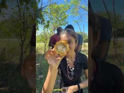 World’s Best Quality Vanilla in Madagascar 🇲🇬 #trending #viralvideo #youtubeshorts #africa