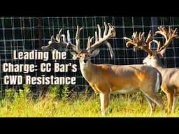 Leading the Charge: CC Bar Whitetails' CWD Resistance Focus