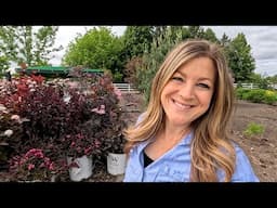 5 Beautiful Red-Foliage Shrubs for Sun + Planting Shade Containers! ❤️🌿❤️ // Garden Answer