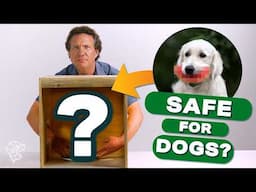 Can Your Dog Eat These? Vet's Mystery Box Challenge!
