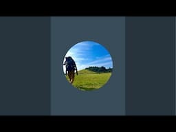 Michel (Where the wind takes me Tv) is live!