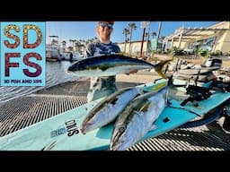LA JOLLA YELLOWTAIL | SOLO SKIFF Fishing NOMAD SQUIDTREX | San Diego California 2025 SDFS