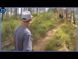 Most Terrifying Bear Encounters Ever Caught On Camera!