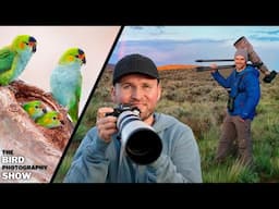 Critical Ingredients Of EVERY Photo!