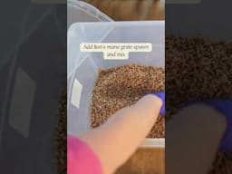 Easiest Way to Grow Lion's Mane Mushrooms