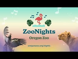 Celebrate Summer At ZooNights!