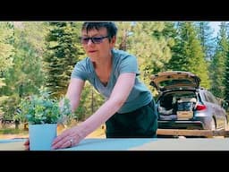 Cheap Tahoe Camping [w/SCARY VISITORS] 😱