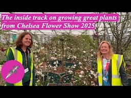 The inside track on growing great plants from Chelsea Flower Show 25.
