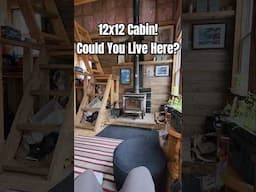 12x12 Cabin! Could You Live Here