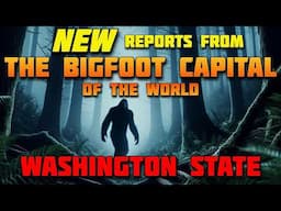 NEW REPORTS FROM THE BIGFOOT CAPITAL OF THE WORLD -    WASHINGTON STATE