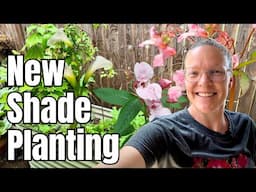 🌿 Planting New Treasures in the Shade Garden | Snapdragon Vines, Begonias, Calla Lilies & More! 🌸
