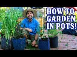 Container Gardening 101: From Pot To Plant