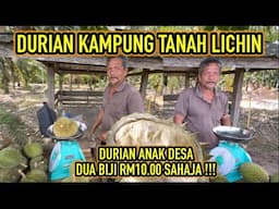 DURIAN ANAK DESA KAMPUNG TANAH LICHIN, SIDAM KEDAH, HARGA MURAH HARGA BORONG, JUALAN MENCARI PAHALA.