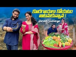 Treasure Hunt/ సాయితో  సరదా ఛాలెంజ్/ Farm Harvest.​⁠@MADGARDENER