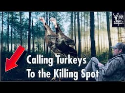 How to CALL TURKEYS into a Killing Spot