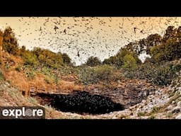 Bracken Bat Cave Viewing Area powered by EXPLORE.org